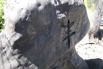 Выразительная форма камня