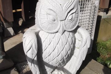One of the owl statues