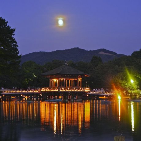 Nara Tokae et le Pavillon Ukimido