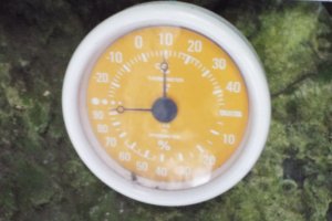 Nippara Shonyudo - 10 degrees with high humidity