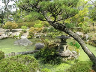 Традиционный японский сад в Наре