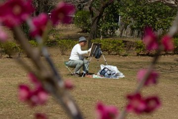 <p>Painting blossoms; some local painters come here to capture the start of the season.</p>