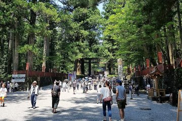 ทางเดินต้นสนมุ่งตรงสู่ศาลเจ้าโทะโชะกุ (Tosho-gu) 