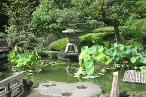Уголок японского сада
