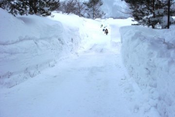 The snow is piling up high in this part of Yamagata