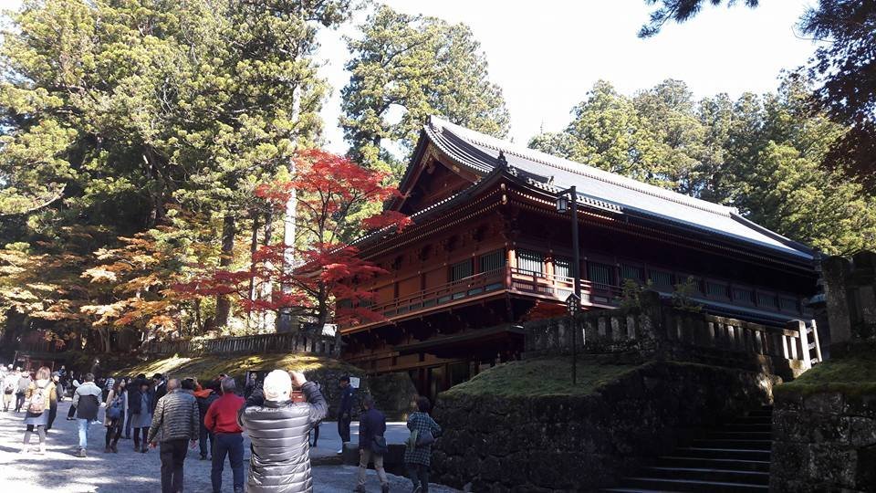 Le koyo à Nikko