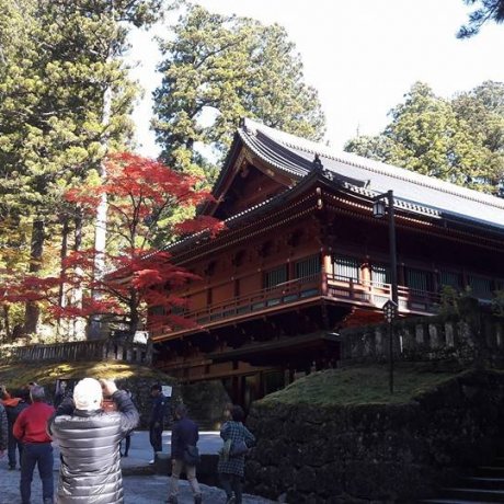 Le Kōyō à Nikko !