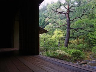 Pada hari hujan, taman Kyoto sangat indah - dan tenang!