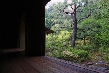 On a rainy day, Kyoto's gardens are beautiful - and quiet!