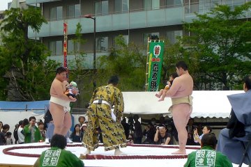 เทศกาล Nakizumo ที่วัดเซ็นโซะจิ 