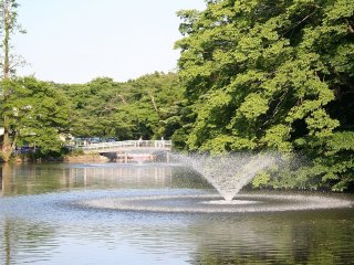 Inokashira Park - Fountain