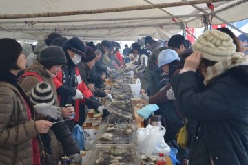 เทศกาลหอยนางรม Anamizu 
