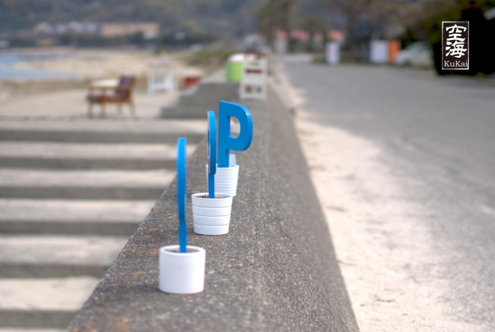 P's in pots line the border of this sea wall on the premises
