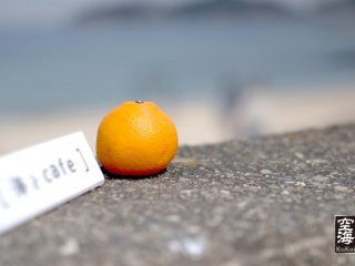 An orange sits on top of the sea wall in front of Umi to Cafe