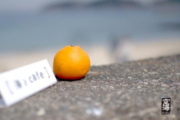 An orange sits on top of the sea wall in front of Umi to Cafe