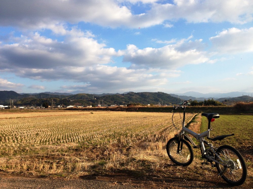 Cycling down from Kumamoto Airport to the open fields and bamboo forests of Kinokura is a joy and a thrill
