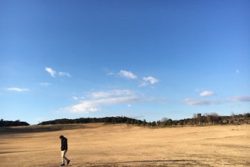 Nijigen no Mori's vast field
