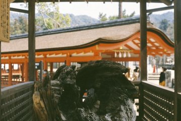 <p>Sacred wood displayed in Itsukushima Shrine</p>