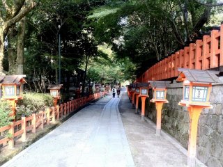 Take a stroll in the forested avenue at Yasaka Shrine