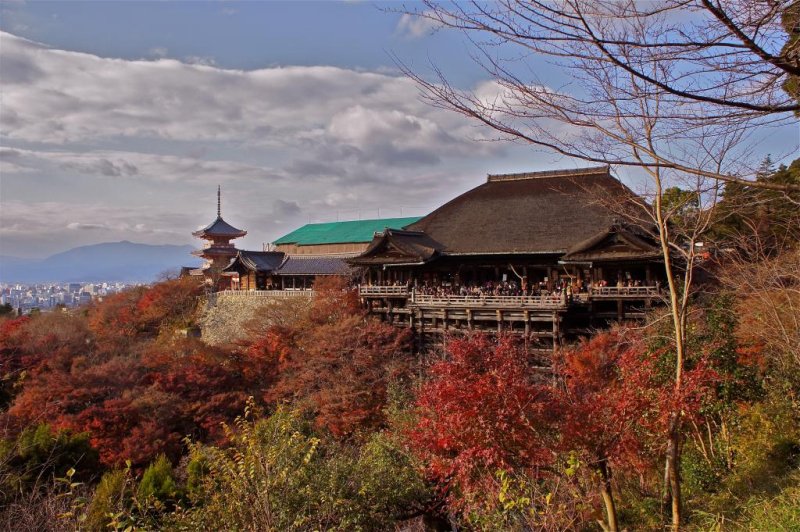 Autumn colors at the famous Kiyomizu-dera