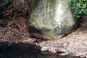 The large stone at Doman's Pond