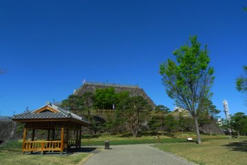 Kofu Castle also known as the Maizurujo Park