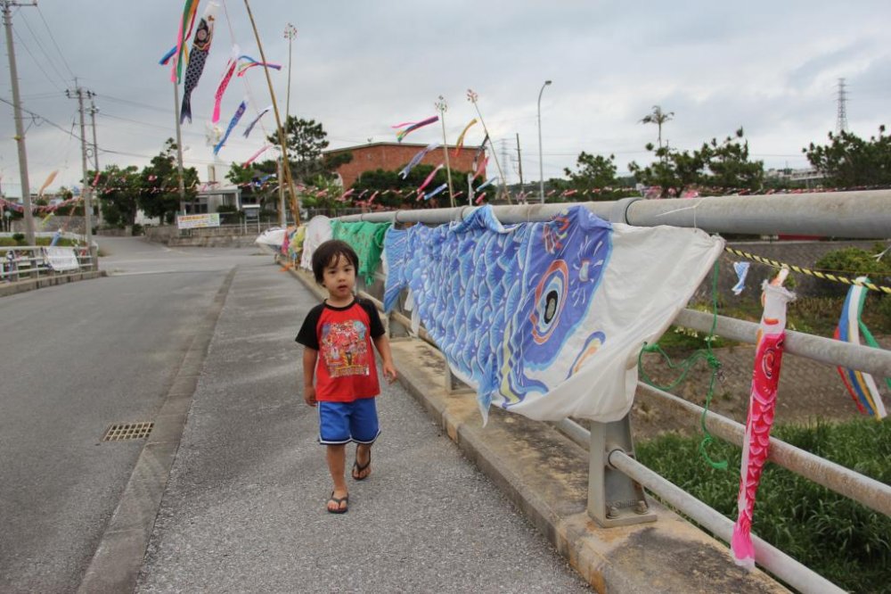 A young boy admires the carp decorating the streets of Tengan