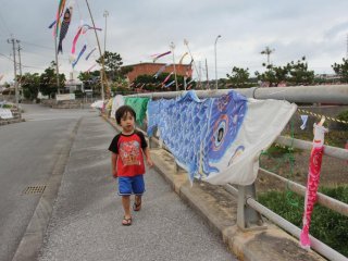 A young boy admires the carp decorating the streets of Tengan