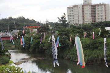 The carp streamers are hung for the entire holiday period known as Golden Week that culminates with Children's Day