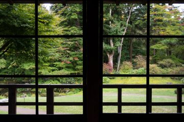 ฉันชอบถ่ายภาพสวนของที่นี่โดยผ่านประตูและหน้าต่าง