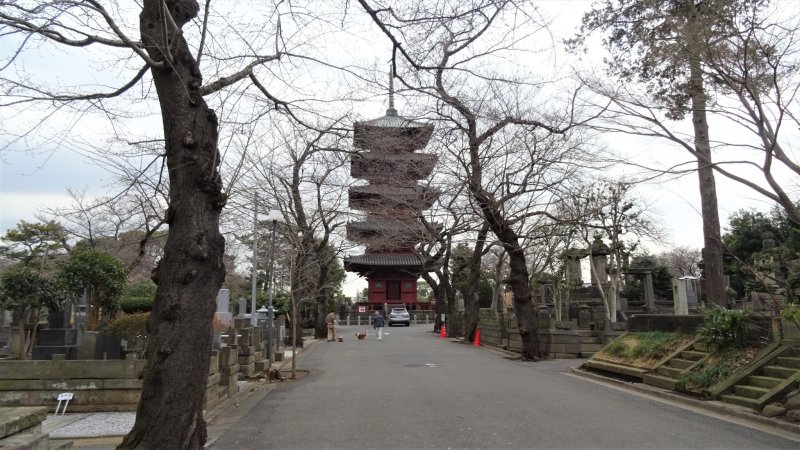 เจดีย์ห้าชั้นที่เก่าแก่ที่สุดในโตเกียว มีความสูง 29.4 เมตร ด้วยโครงสร้างคานไม้หนาแบบโบราณ 