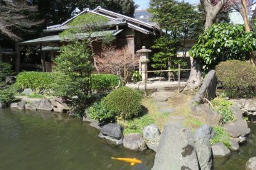 บ้านแบบญี่ปุ่นกับสระน้ำหรือบ่อน้ำพร้อมปลาคาร์ฟซึ่งจัดว่าเป็นองค์ประกอบที่สำคัญๆ ของสวนญี่ปุ่น