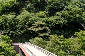 Sarubashi bridge