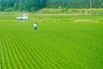 Rural japan
