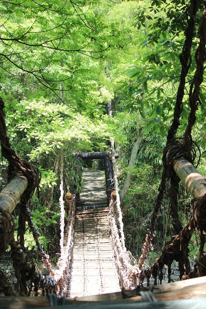 A bridge made of vines at Shikoku Mura