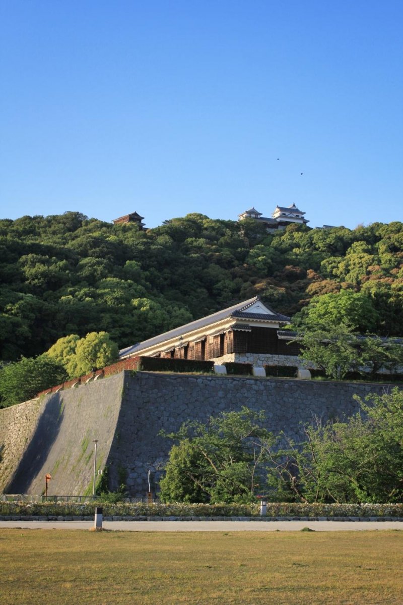 <p>Вид на замок Мацуяма из парка со рвом</p>