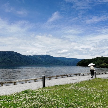 Lake Towada Backpackers Hostel