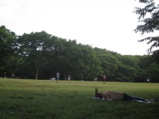 คู่รักนอนกอดกันท่ามกลางสนามหญ้าอันกว้างใหญ่
