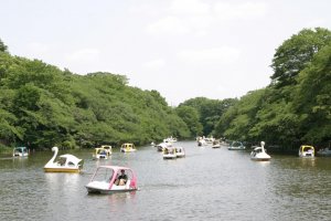 Pedal boats on Inokashira Park pond.