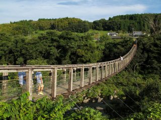 The suspension bridge which will give you a wonderful view of the falls from afar