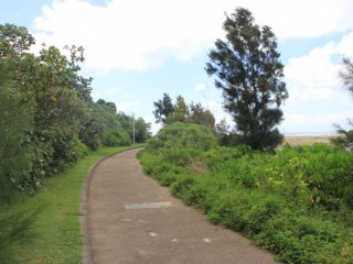 A walking and running path along the beach