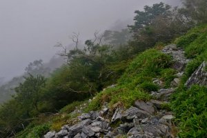 Rocky path leading to the summit