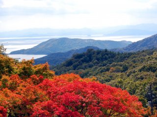 Panorama cantik dari Shodoshima