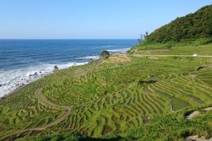 Shiroyone Senmaida Rice Terraces