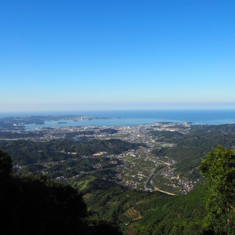 Le pays des Mikan à Tanabe, Wakayama