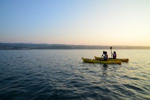 Sea kayaking tour