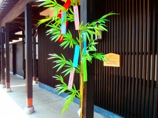 For Tanabata (the Star Festival, July 7th), bamboo branches were decorated with wishes written on strips of paper