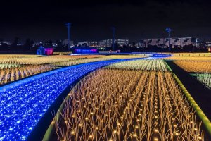 Tokyo Mega Illumination