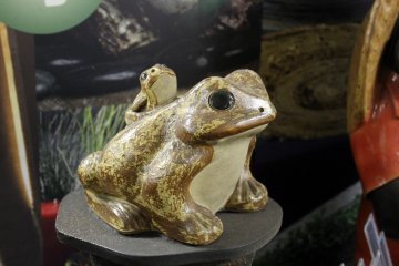 Frogs for a safe return