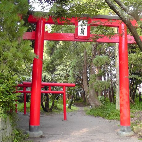 The Miyazaki Shrine Forest - Part 2